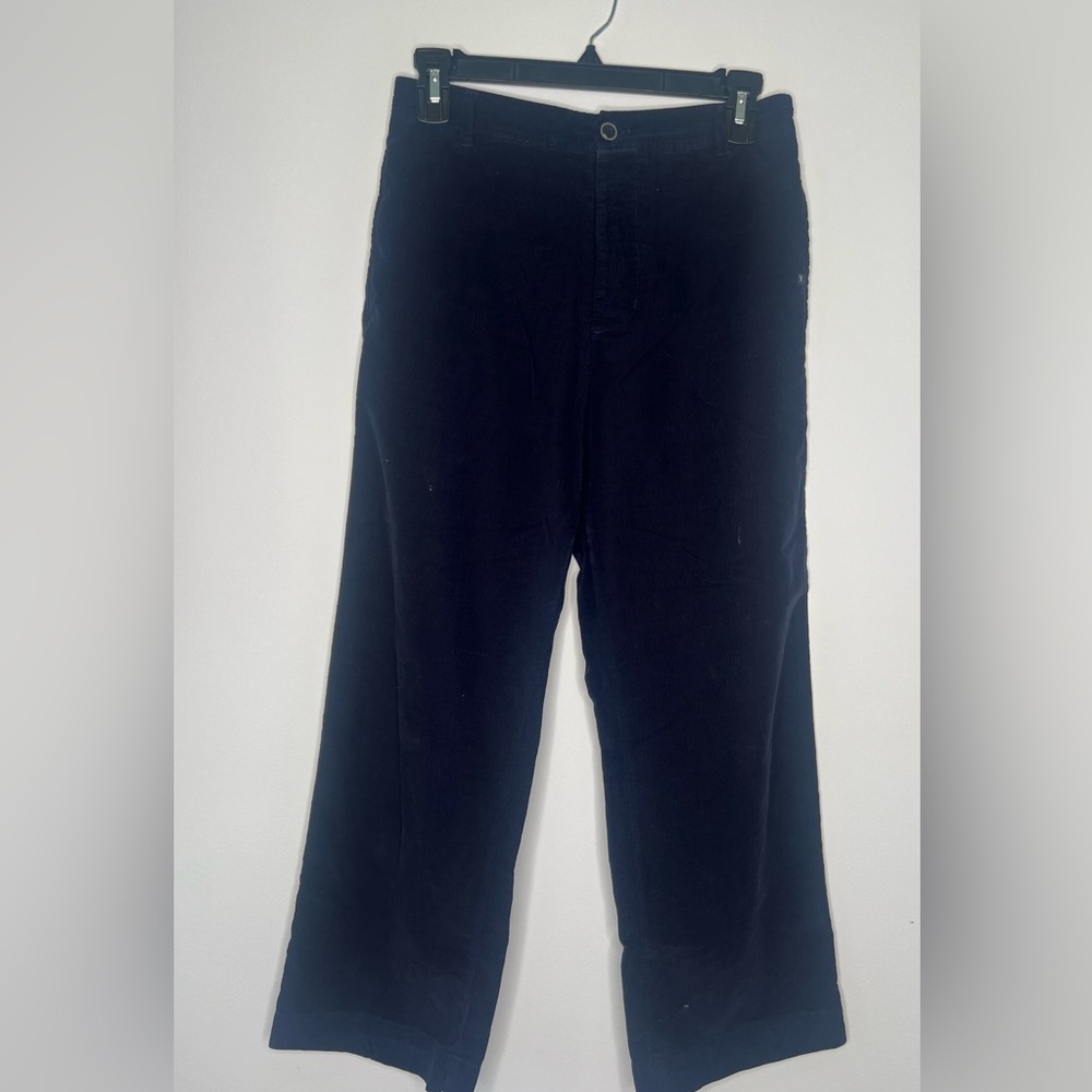 Xirena Navy blue corduroy pants